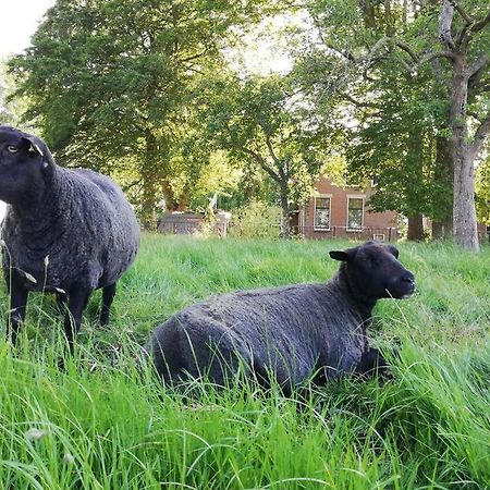 'T Pekelhuis - Vakantiehuisje Op Boerderij Huize Blokland Hem Exteriér fotografie