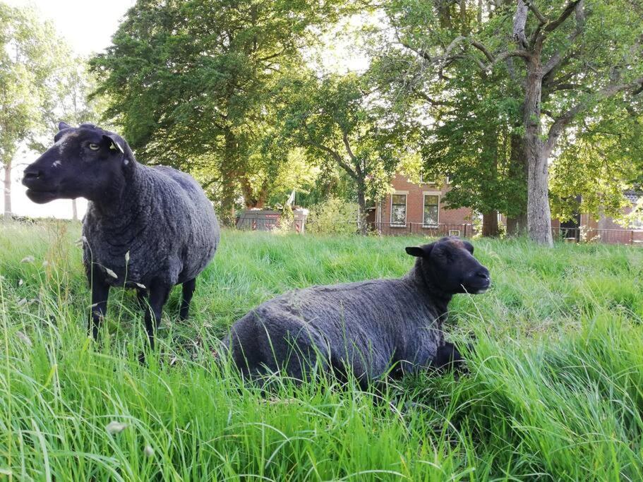 'T Pekelhuis - Vakantiehuisje Op Boerderij Huize Blokland Hem Exteriér fotografie